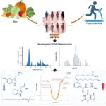 Lifestyle interventions from childhood to adolescence affect metabolism even years later, according to research